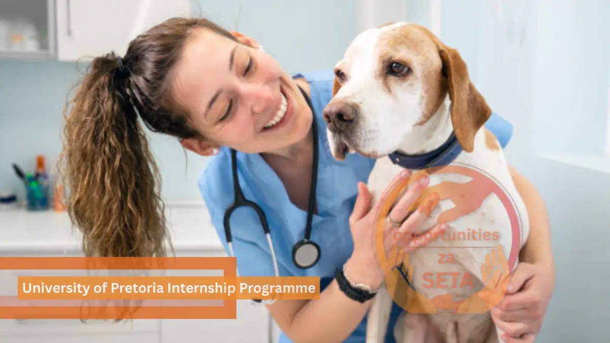 University of Pretoria Internship Programme