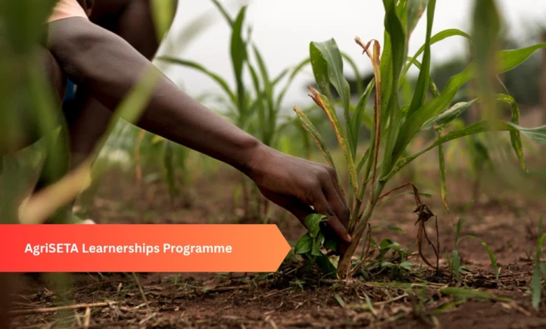 AgriSETA Learnerships Programme